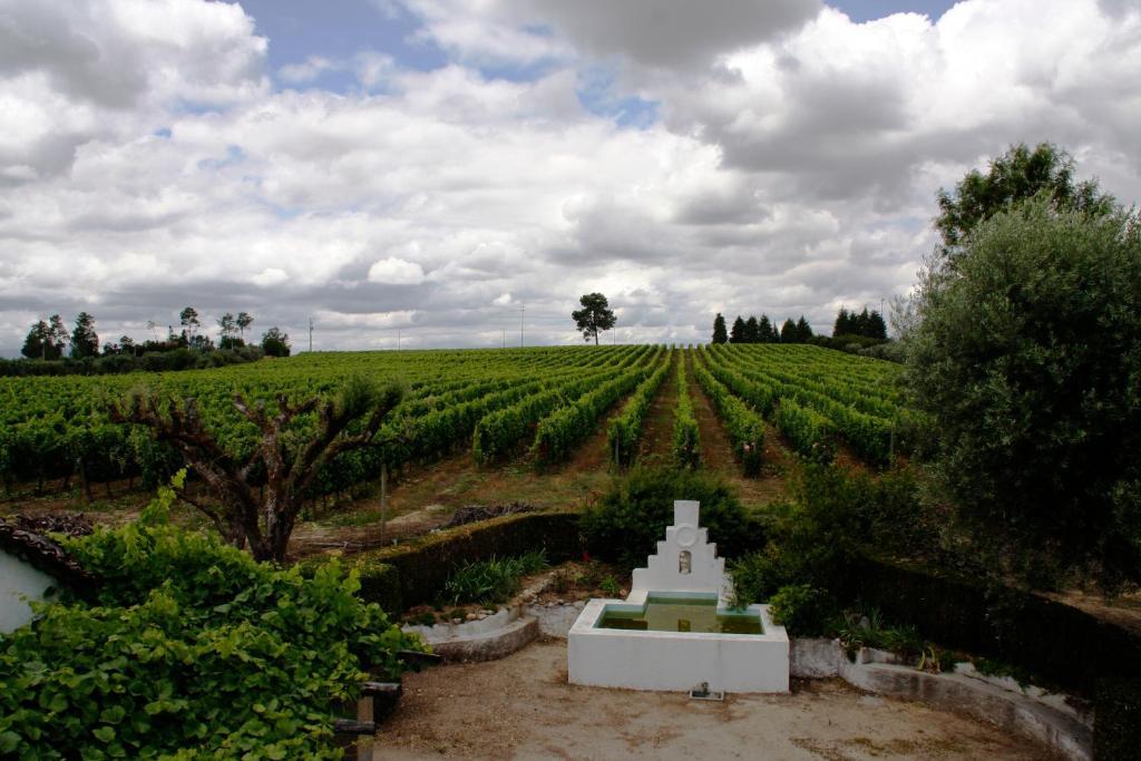 Вілла Quinta Da Fata Нелаш Екстер'єр фото